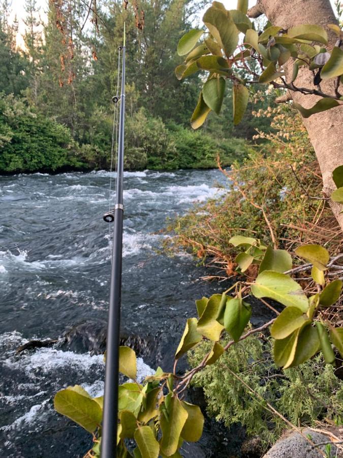 Domo Conguillio Conecta con tu energía sagrada junto al Salto Truful Truful con una vista majestuosa que podrás disfrutar en una tinaja Una experiencia que alineará tu espíritu y tu energía interior Vívelo Melipeuco Exterior foto