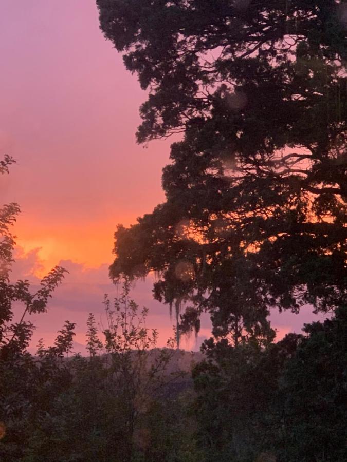 Domo Conguillio Conecta con tu energía sagrada junto al Salto Truful Truful con una vista majestuosa que podrás disfrutar en una tinaja Una experiencia que alineará tu espíritu y tu energía interior Vívelo Melipeuco Exterior foto