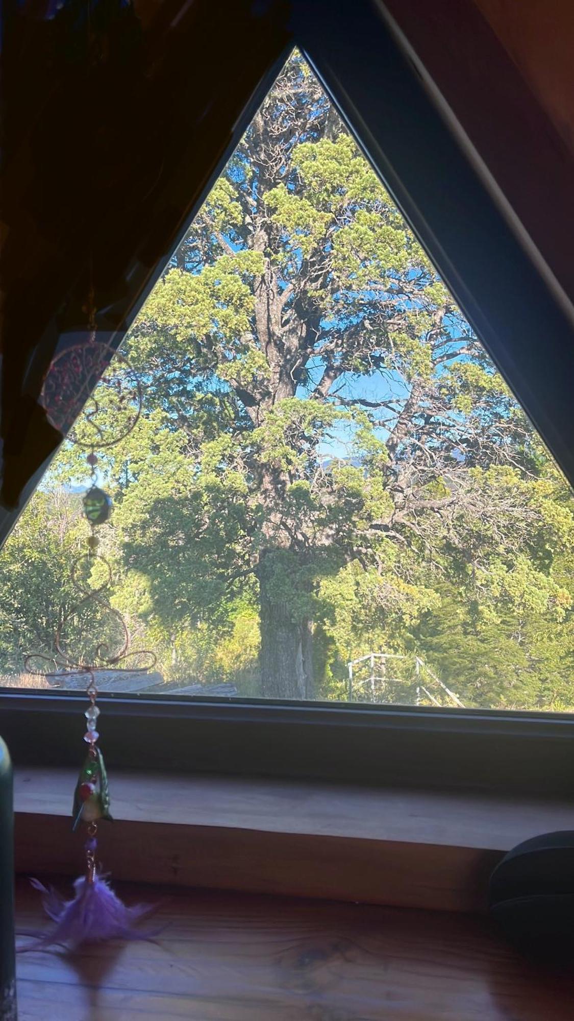 Domo Conguillio Conecta con tu energía sagrada junto al Salto Truful Truful con una vista majestuosa que podrás disfrutar en una tinaja Una experiencia que alineará tu espíritu y tu energía interior Vívelo Melipeuco Exterior foto